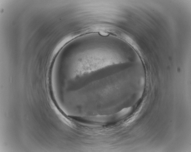 X0000066540803200603171239