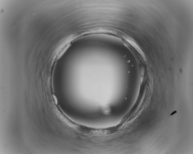 X0000066540805200603171239