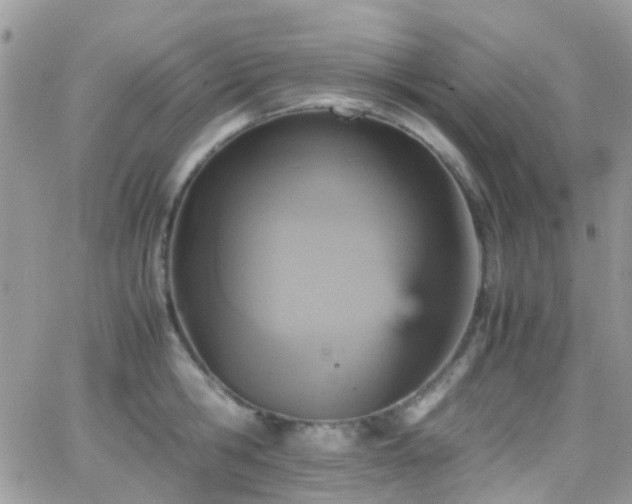 X0000066540806200603171239