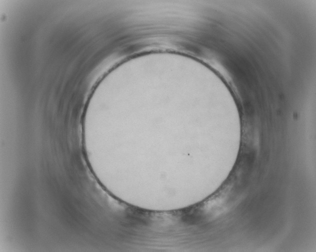 X0000066540807200603171239