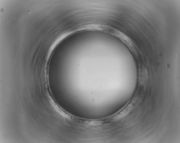 X0000066540808200603171239