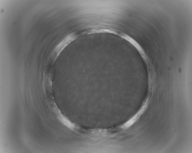 X0000066540809200603171239