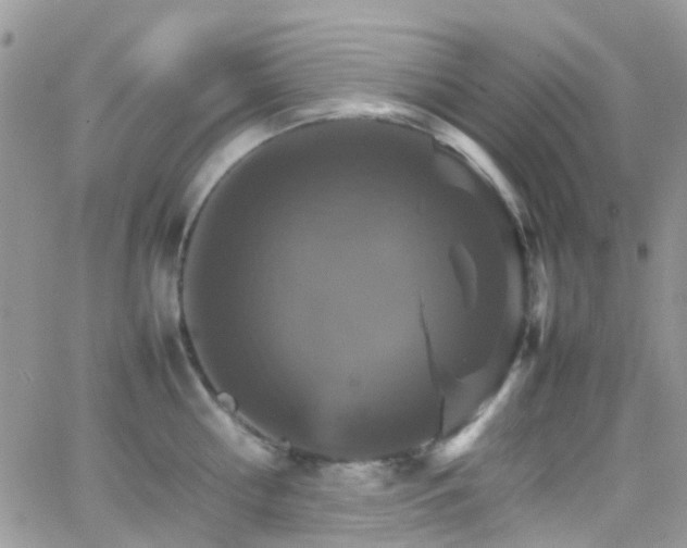 X0000066540810200603171239