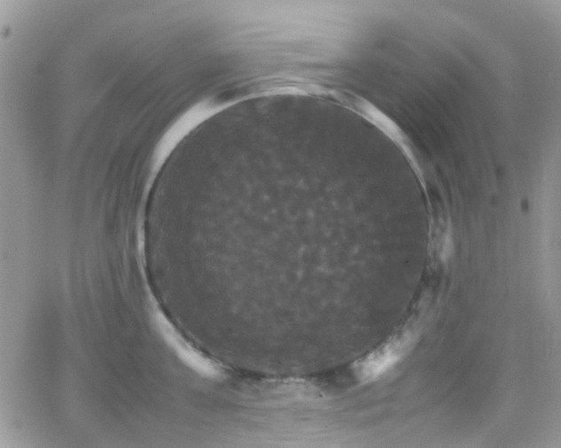 X0000066540811200603171239