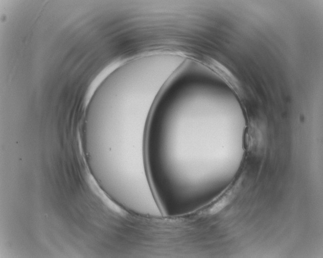 X0000066540812200603171239