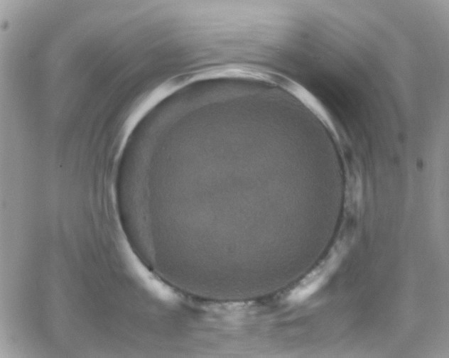 X0000066540813200603171239