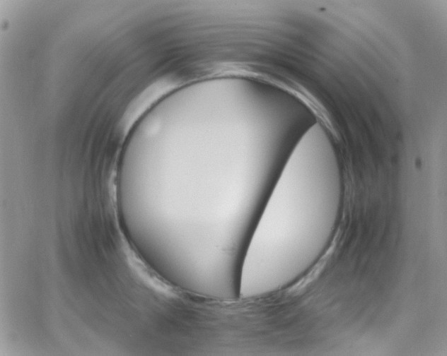 X0000066540814200603171239