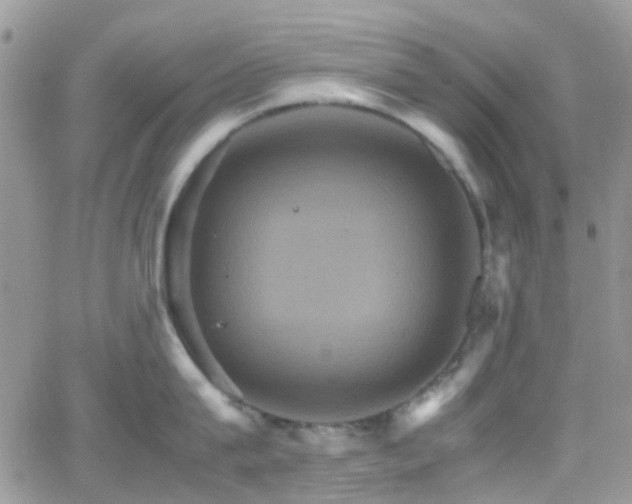 X0000066540815200603171239