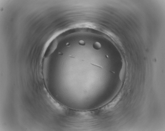 X0000066540816200603171239