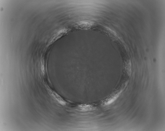 X0000066540818200603171238