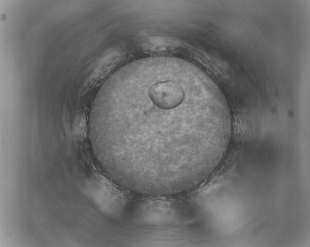 X0000066540820200603171238