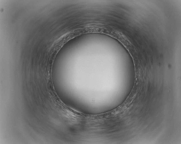 X0000066540821200603171238