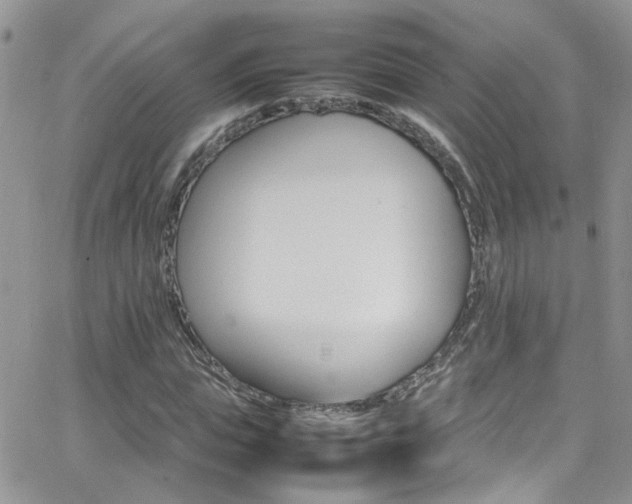 X0000066540823200603171238