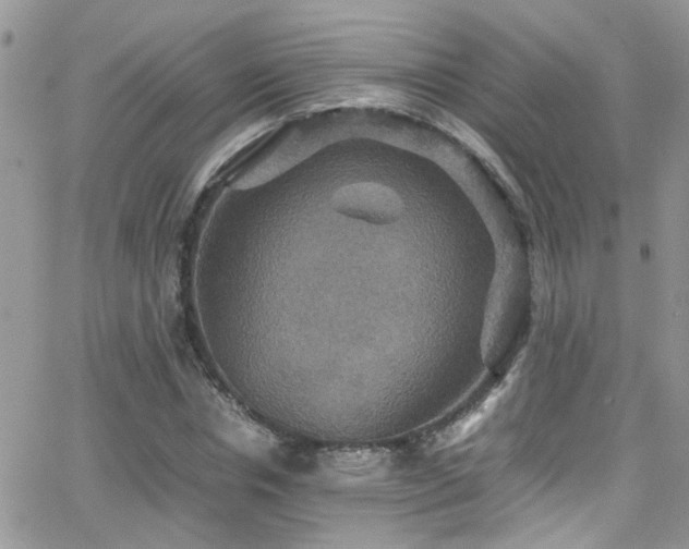 X0000066540826200603171238