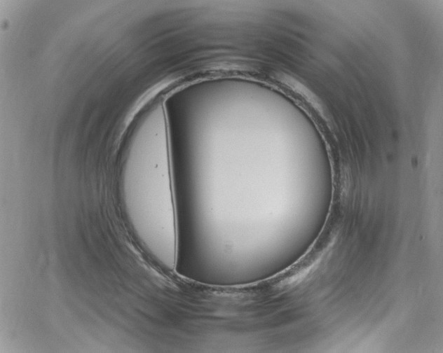 X0000066540829200603171238