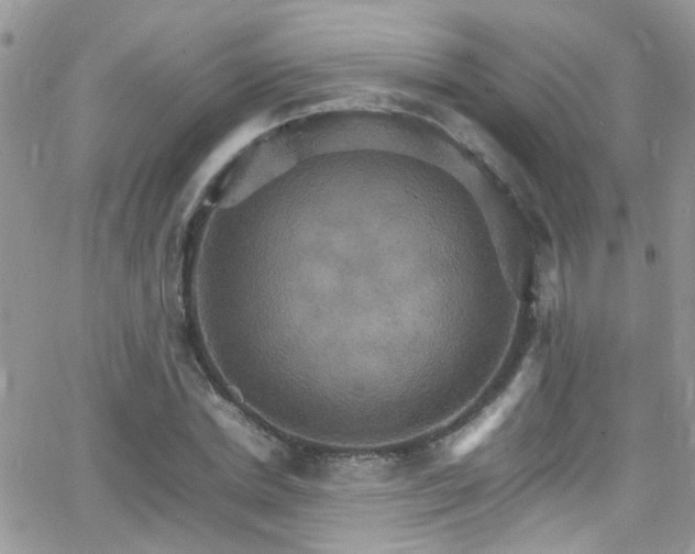 X0000066540830200603171238