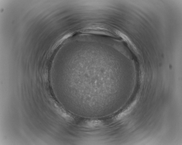 X0000066540833200603171238