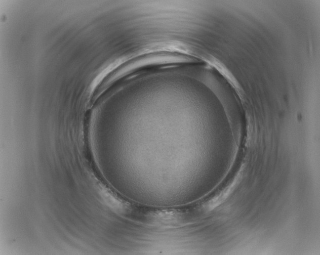 X0000066540834200603171238