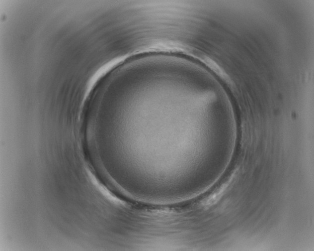 X0000066540838200603171238