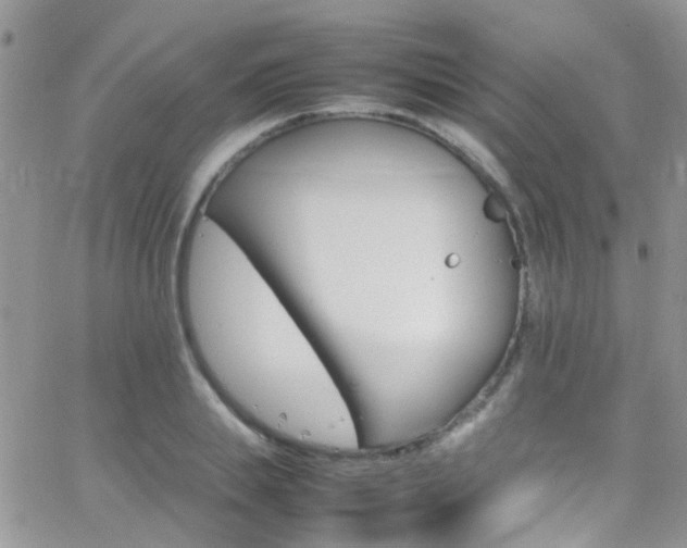 X0000066540839200603171238