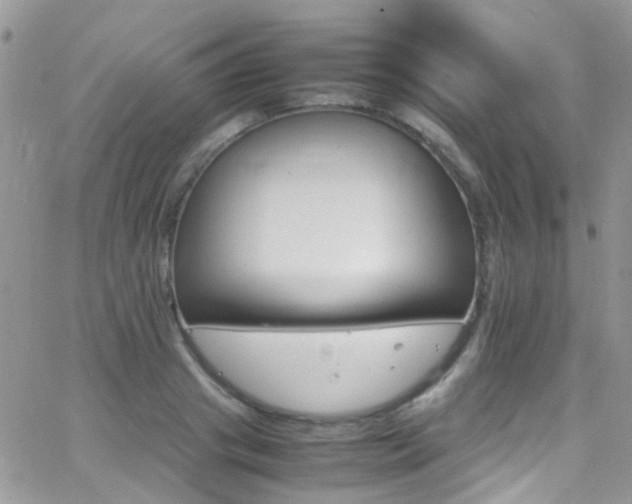 X0000066540841200603171239