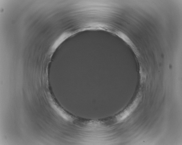 X0000066540842200603171239