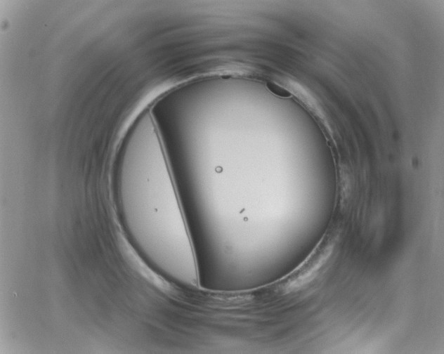 X0000066540843200603171239