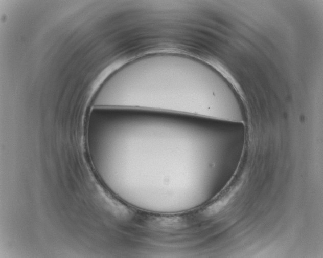 X0000066540845200603171239