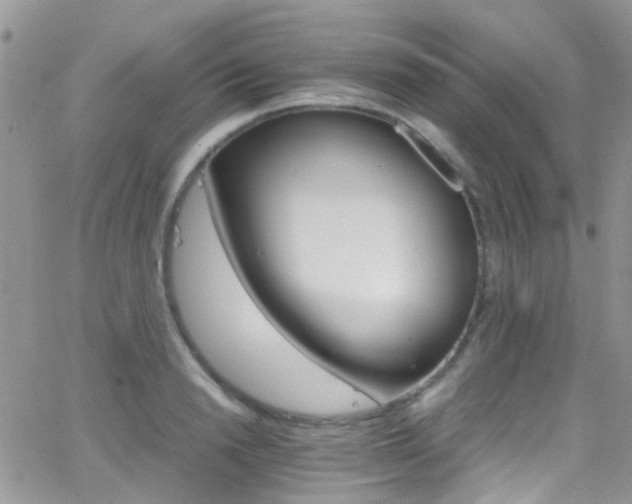 X0000066540846200603171239