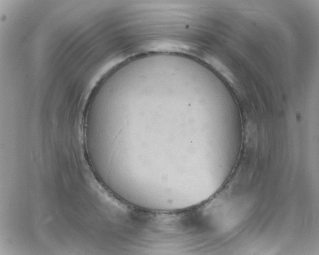 X0000066540848200603171239