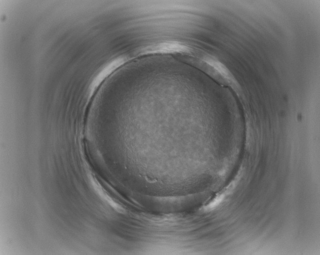 X0000066540850200603171239