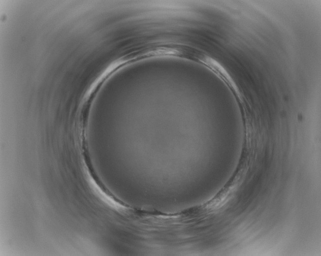 X0000066540851200603171239