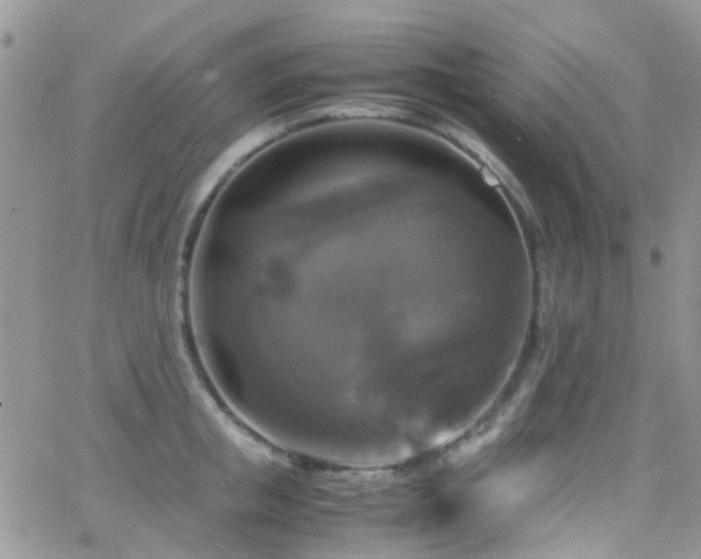 X0000066540853200603171239