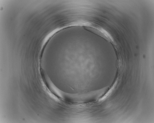 X0000066540854200603171239