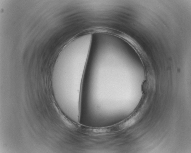 X0000066540857200603171239