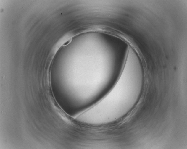 X0000066540858200603171239