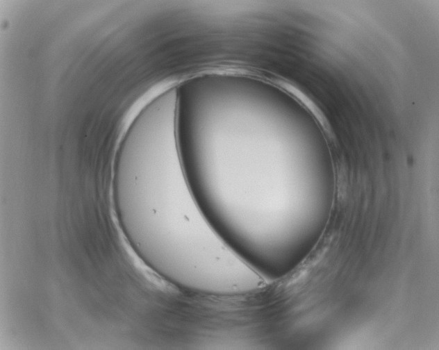 X0000066540861200603171239