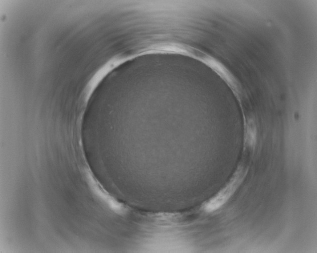 X0000066540862200603171239