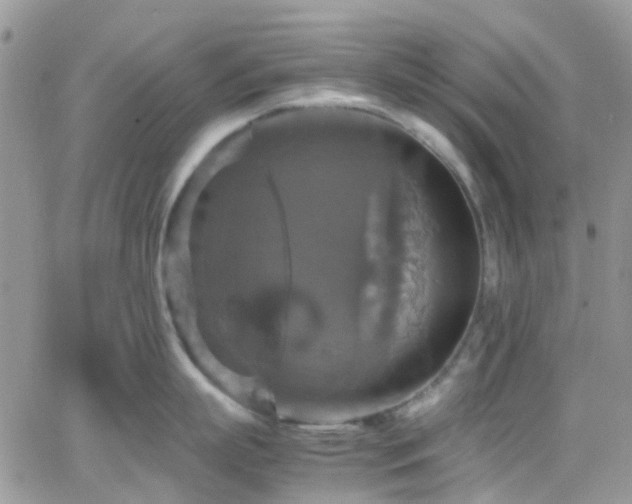 X0000066540863200603171239