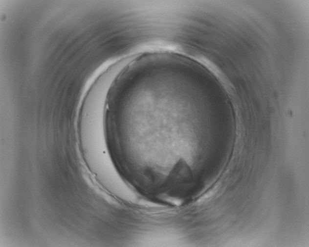 X0000066540864200603171239