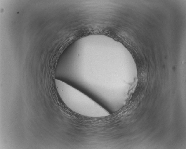 X0000066540865200603171238