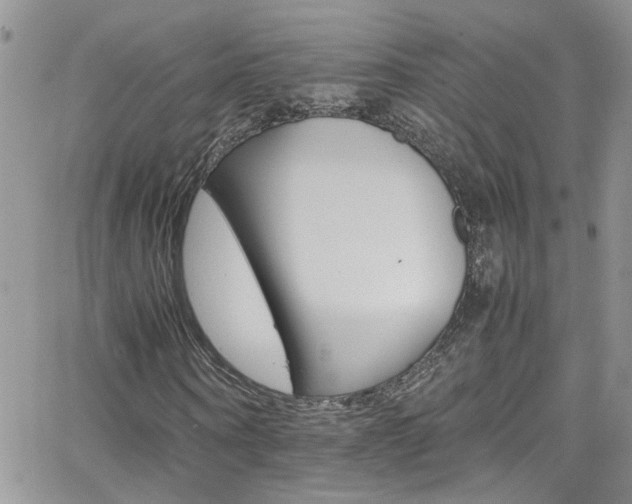 X0000066540866200603171238