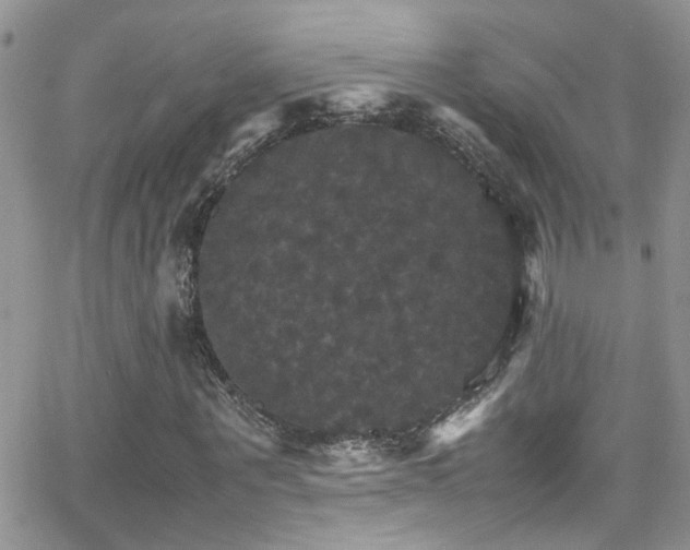 X0000066540867200603171238