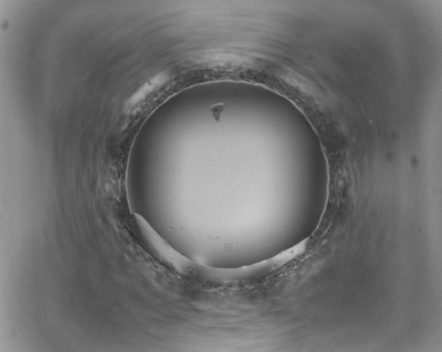 X0000066540869200603171238