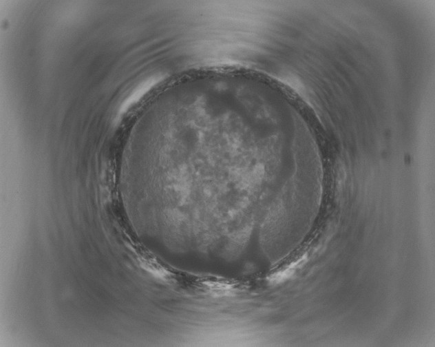 X0000066540871200603171238