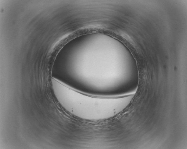 X0000066540872200603171238