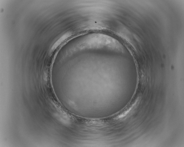 X0000066540874200603171238