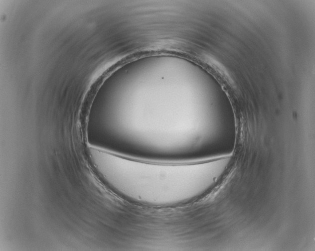 X0000066540876200603171238