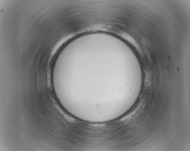 X0000066540878200603171238