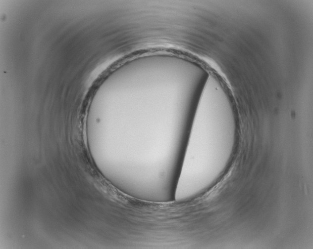 X0000066540879200603171238